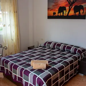 https://tamaide-paradise-c.in-canary-islands.com